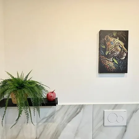 Portico - A Stone's Throw From Piazza Maggiore Daire Bolonya